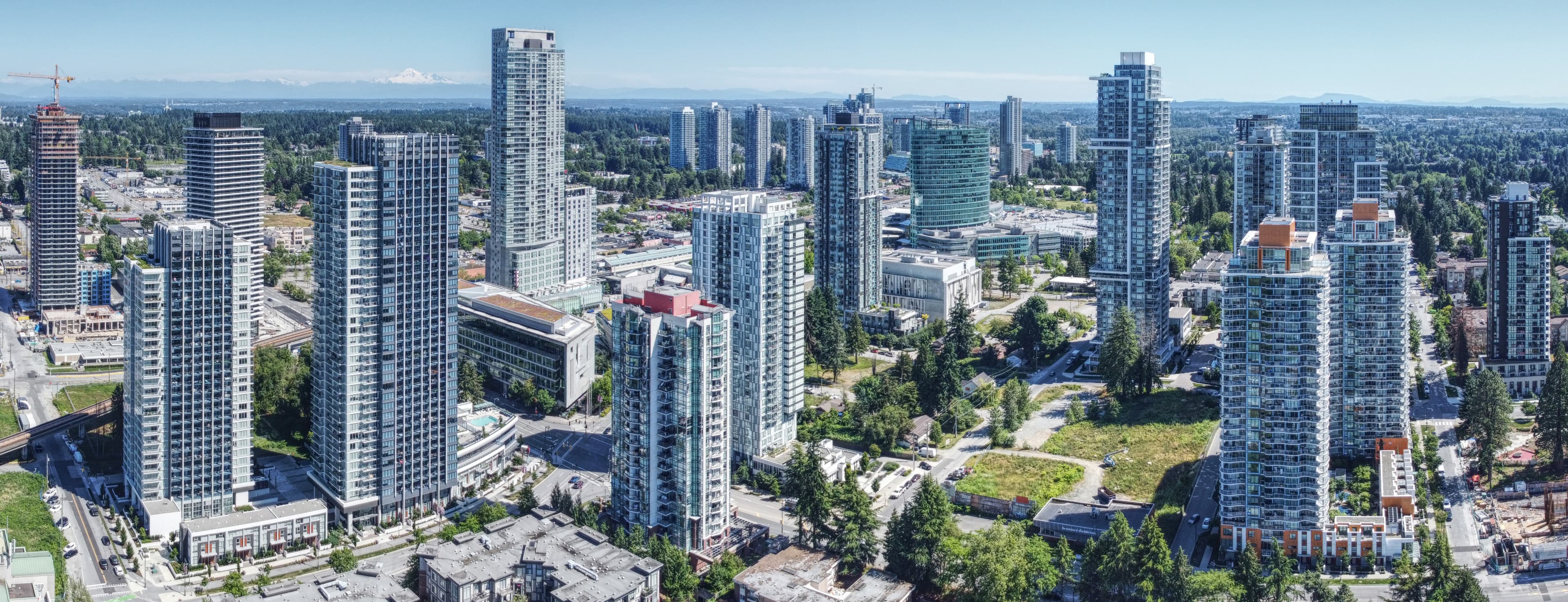 Surrey lawn care