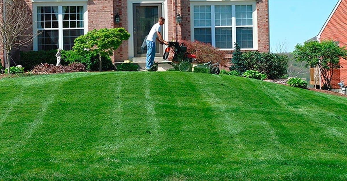 Fill bare patches